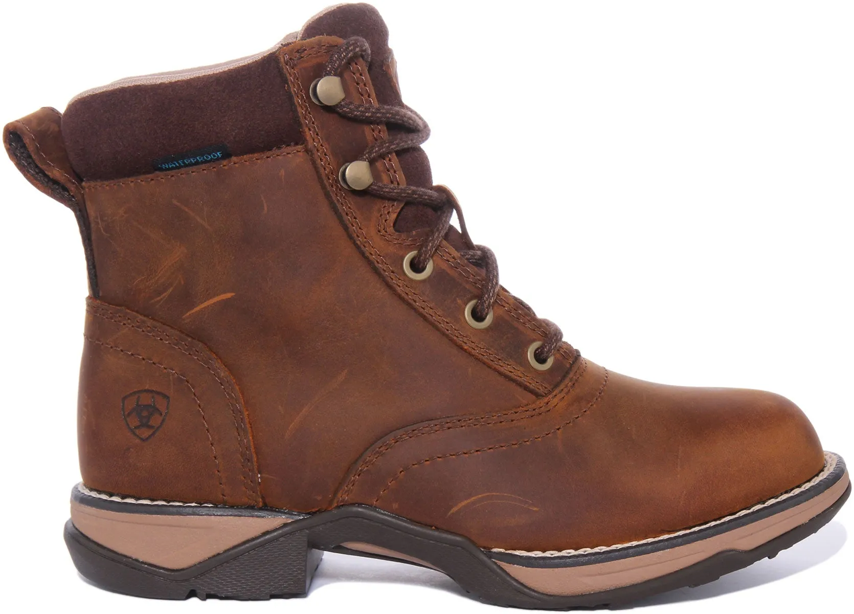 Ariat Anthem H20 In Brown For Women