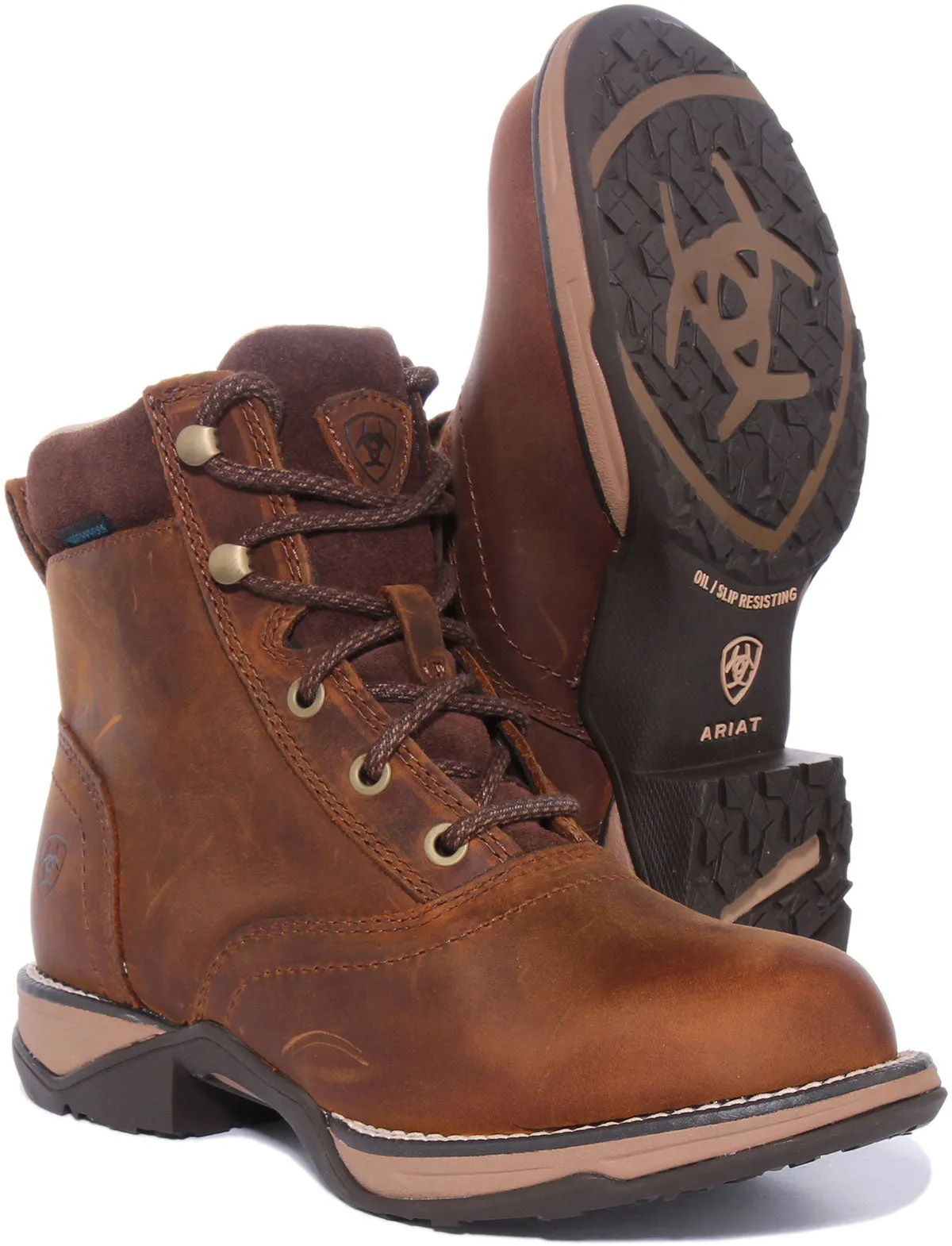 Ariat Anthem H20 In Brown For Women