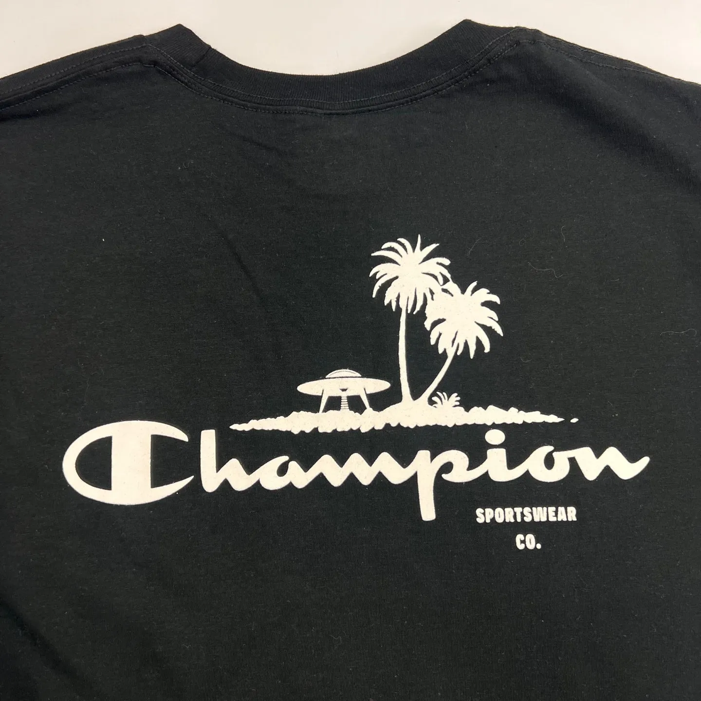 Champion Logo Graphic Print T-Shirt